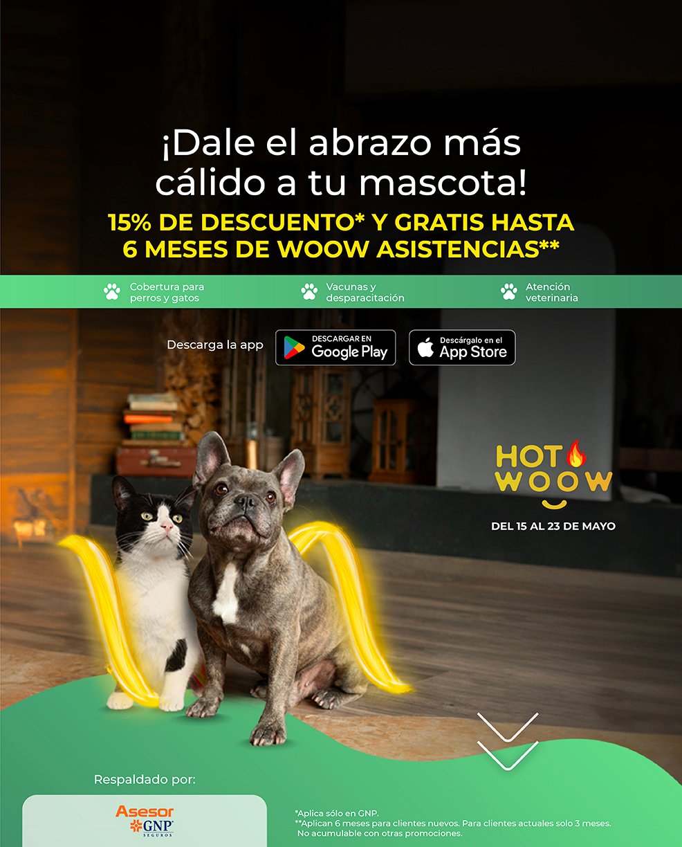 woow-hotwoow_24-hero-mobile-11_mascotas