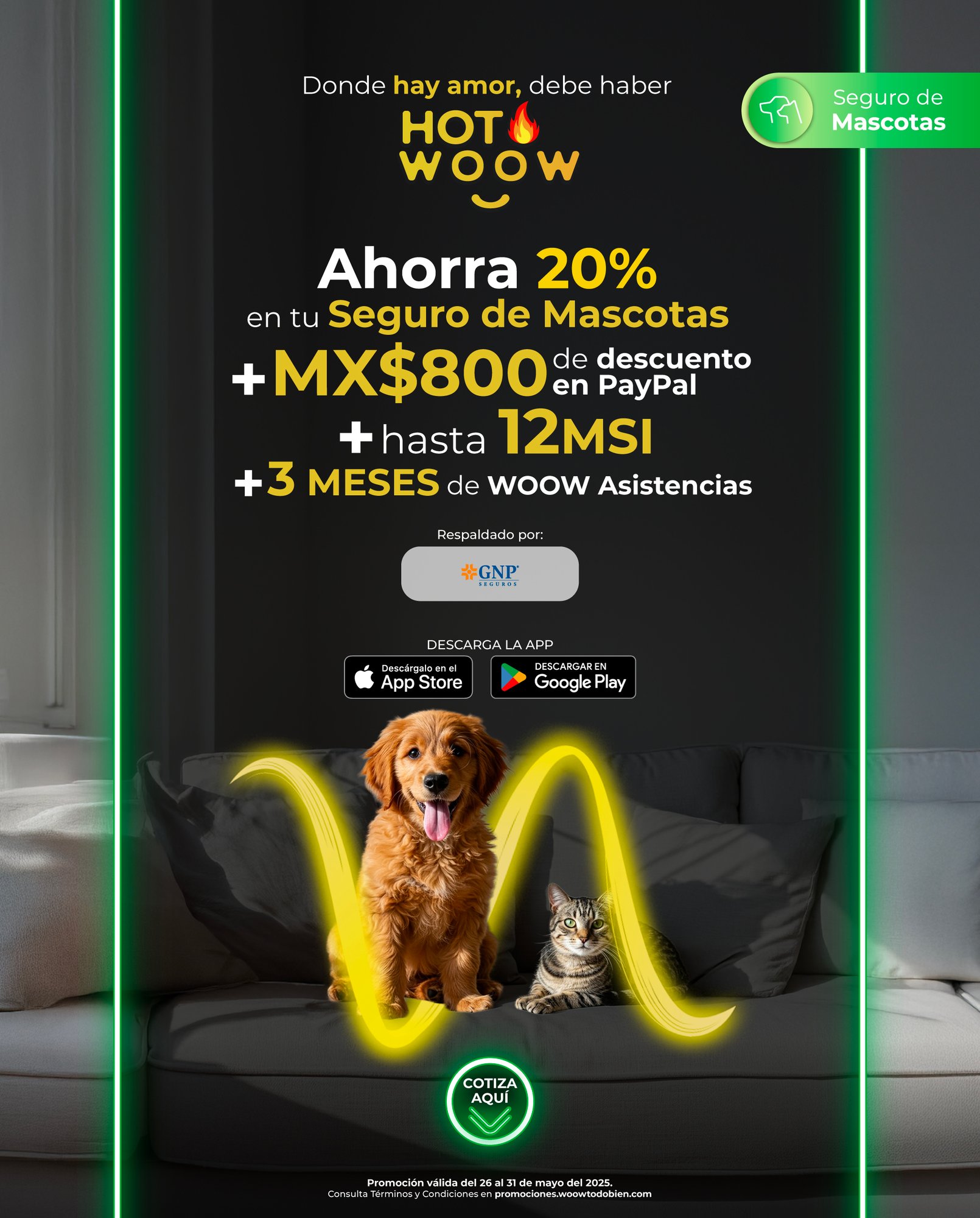 01woow_hw_hero_mobile_V4.05.25_mascota_1