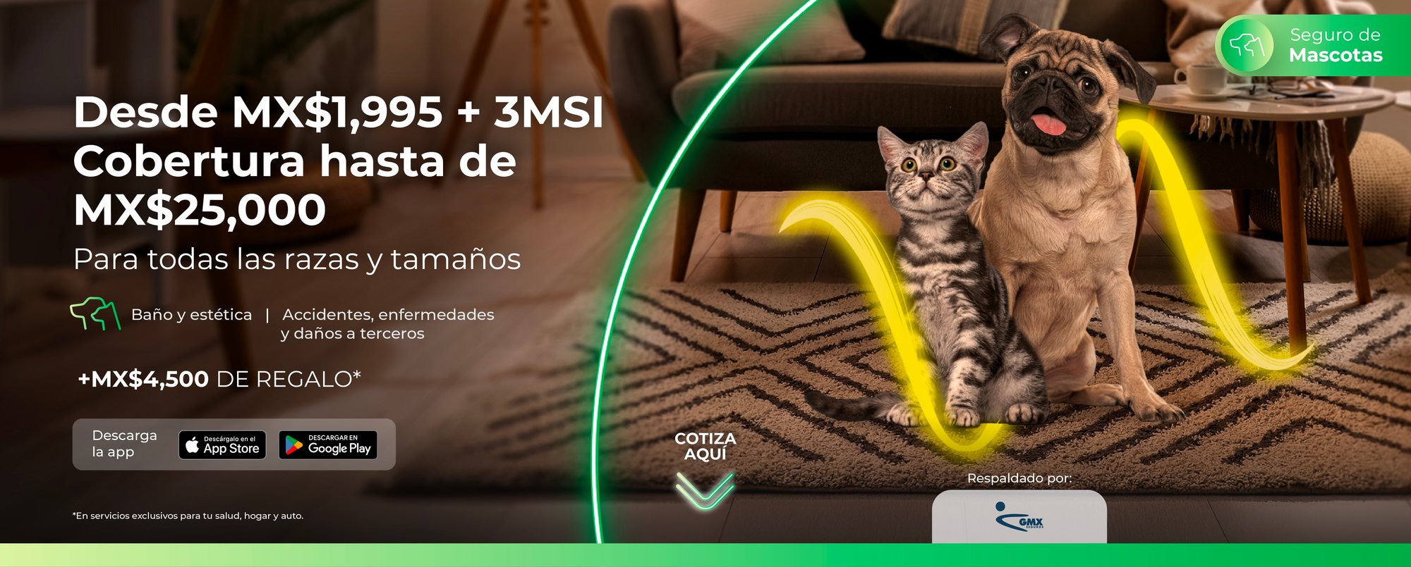 woow-hero-mascota_gmx-02_25_desk-1_landing