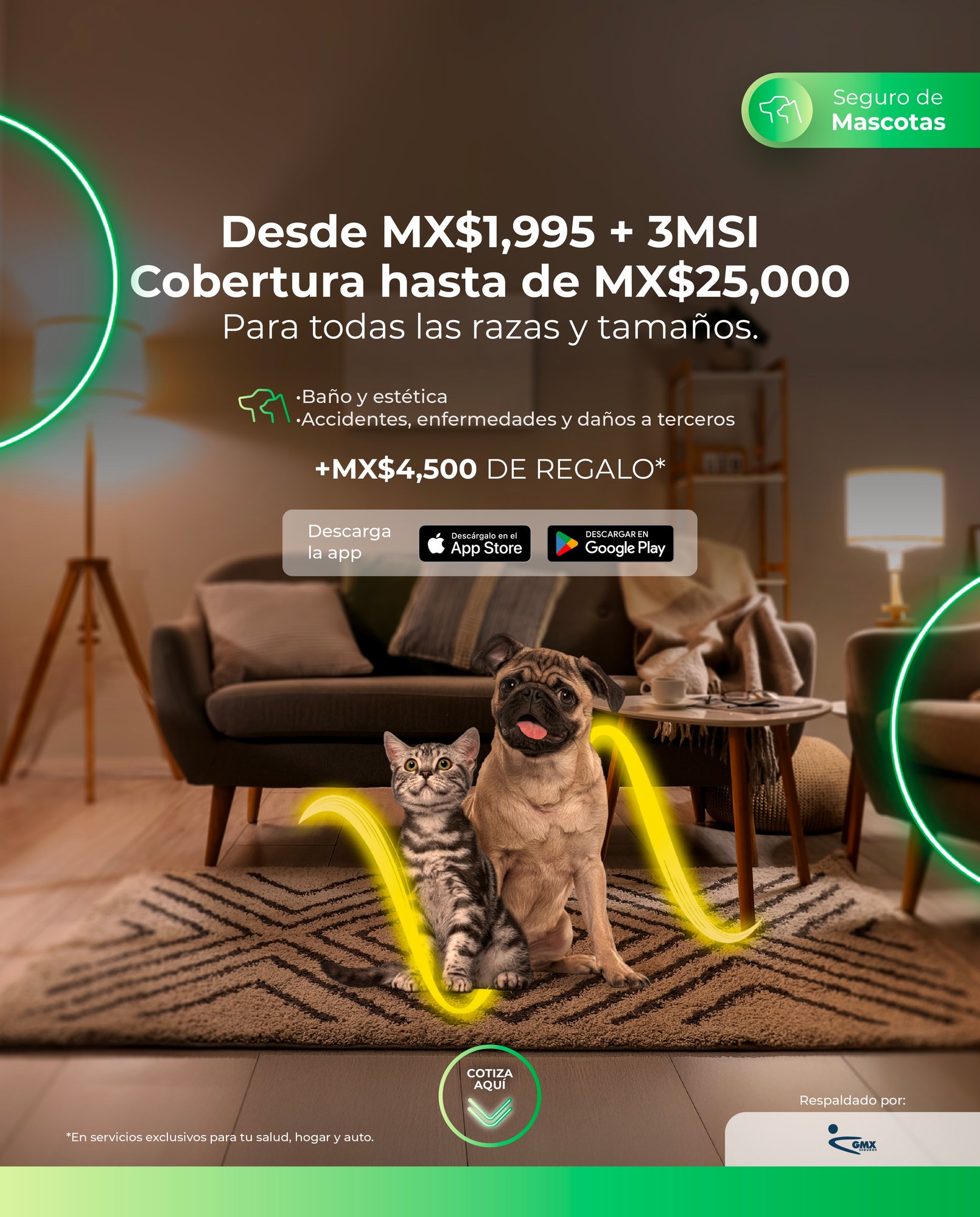 woow-hero-mascota_gmx-02_25_mobile-1_landing