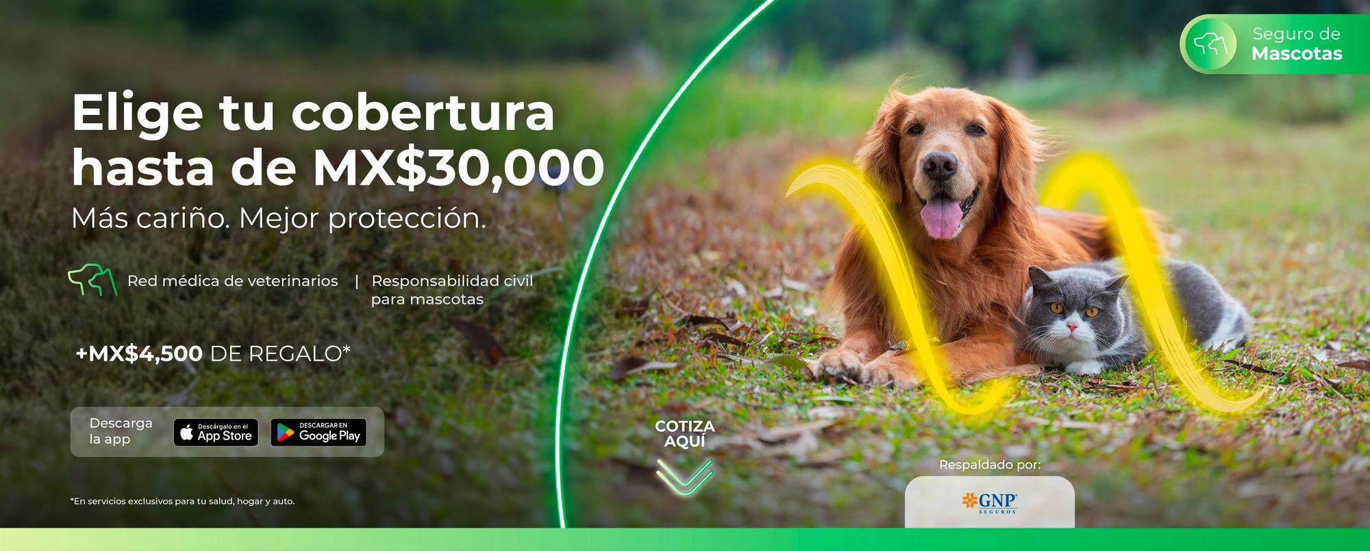 woow-hero-mascota_gnp-02_25_desk-1_landing