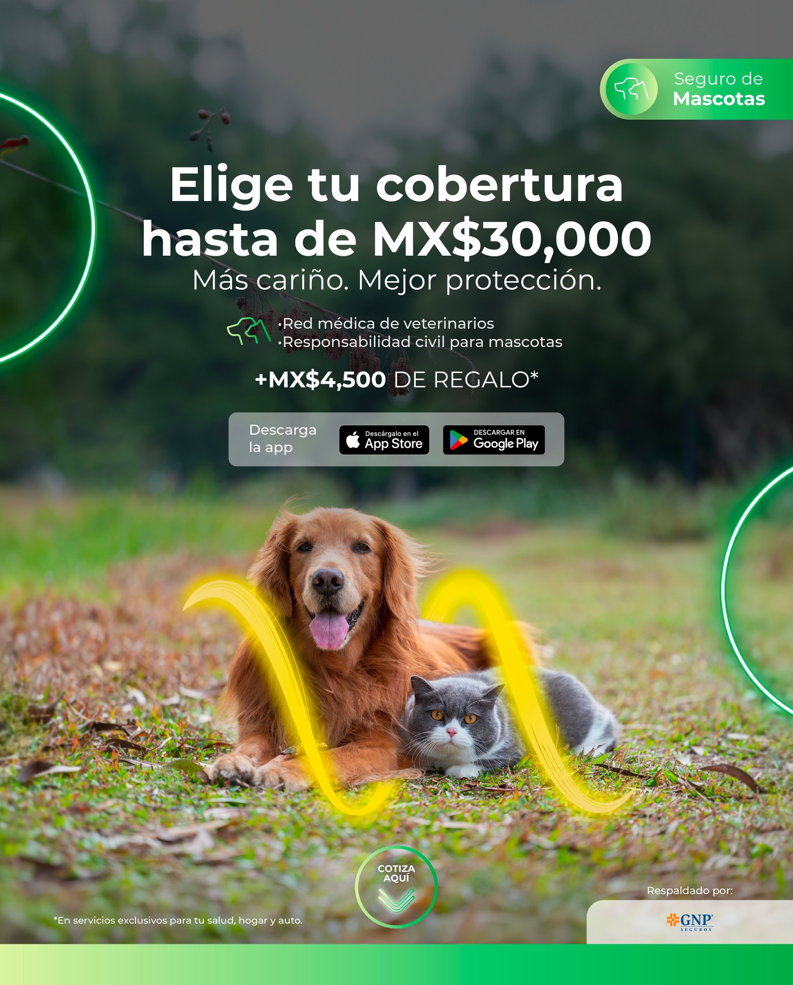 woow-hero-mascota_gnp-02_25_mobile-1_landing