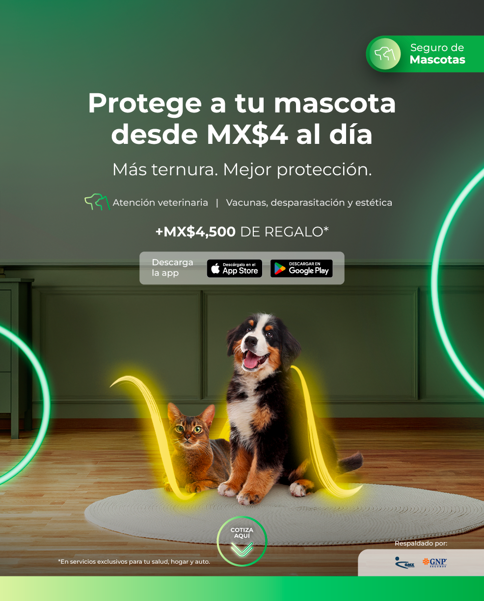 woow_2.0_hero_web_mobile_lp_mascotas