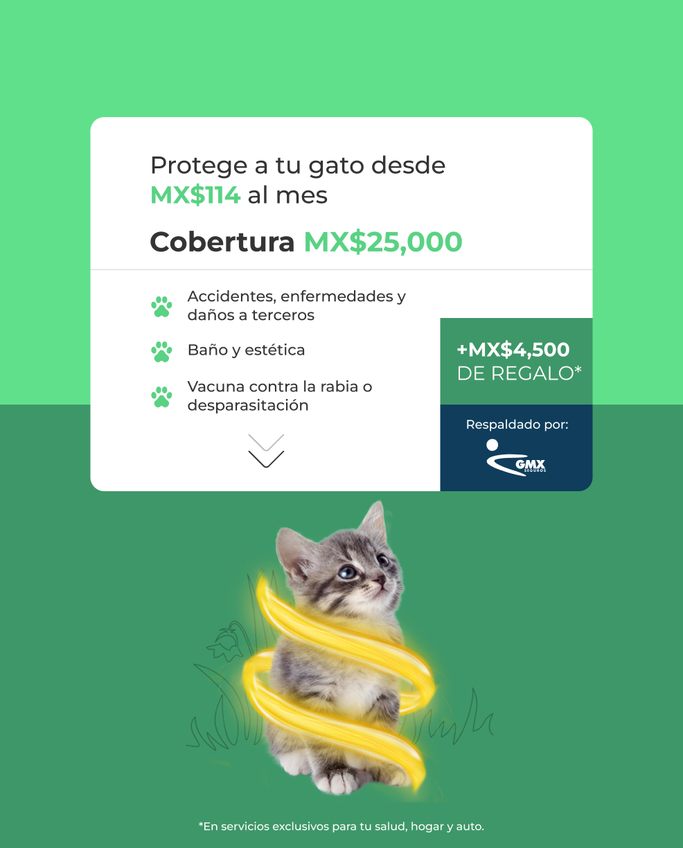 Protege a tu gato desde MX$114 al mes