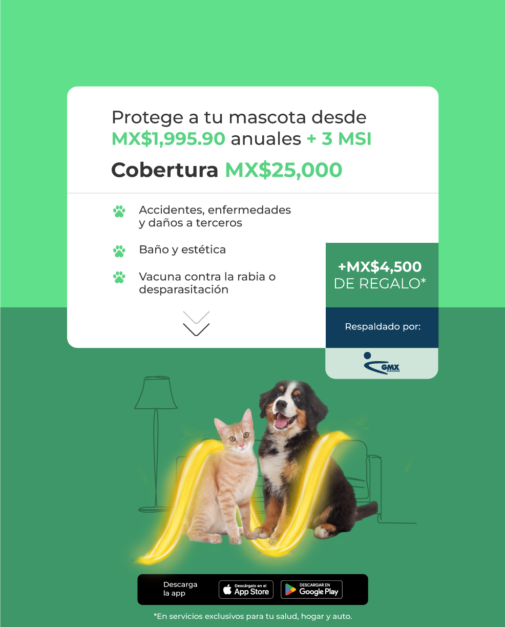 Protege a tu mascotas desde MX$1,995.90 anual + 3MSI con GMX