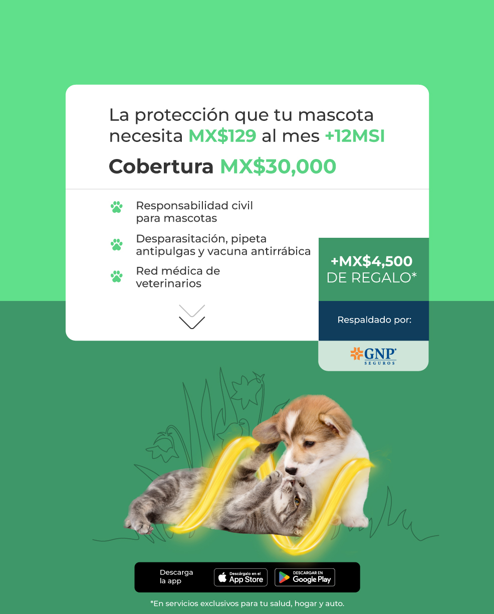 Protege a tu mascota desde MX$129 al mes con GNP