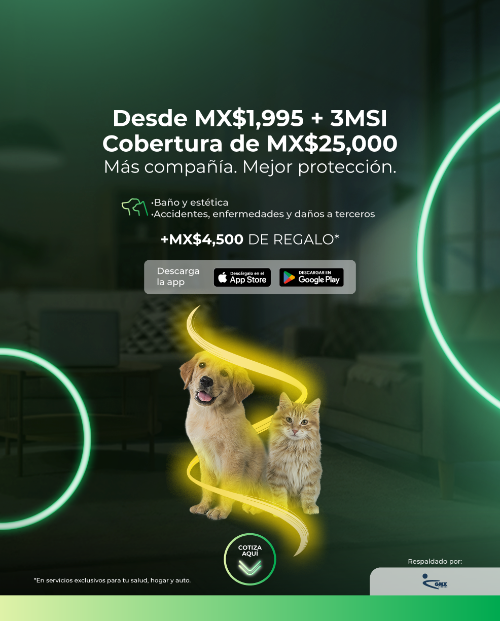 Woow 2.0 Mascota 1