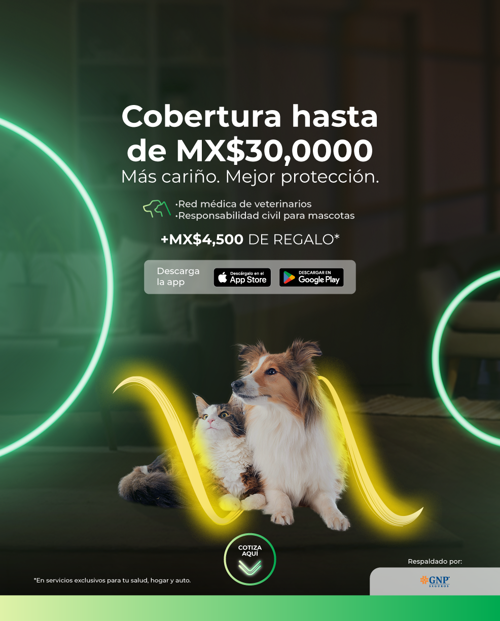 Woow 2.0 Mascota