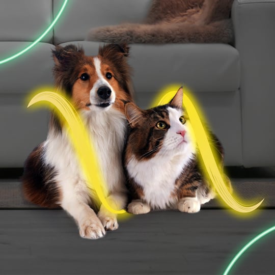 woow-woow20_landing_1_mascotas_gmx_1-540x540-2