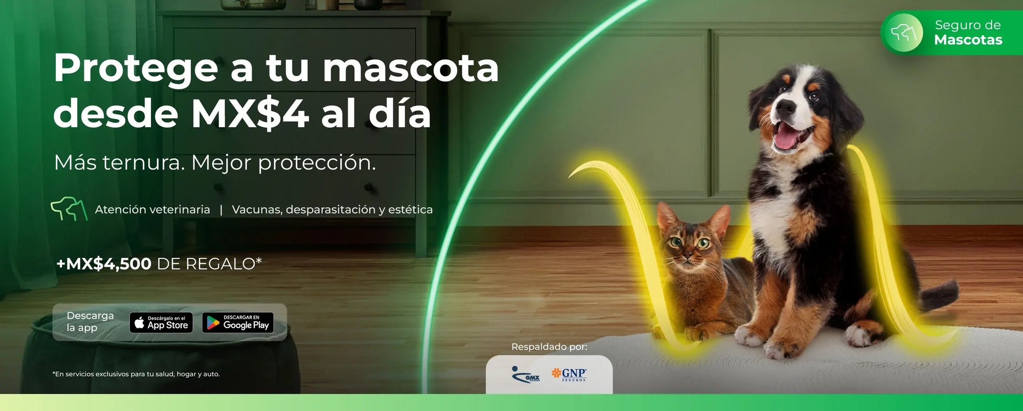 woow_2.0_hero_web_desktop_home_mascotas